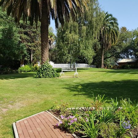 Lodge Mirador Chillán Zewnętrze zdjęcie