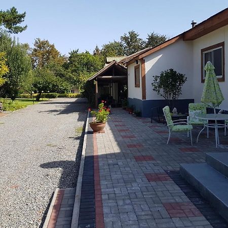 Lodge Mirador Chillán Zewnętrze zdjęcie