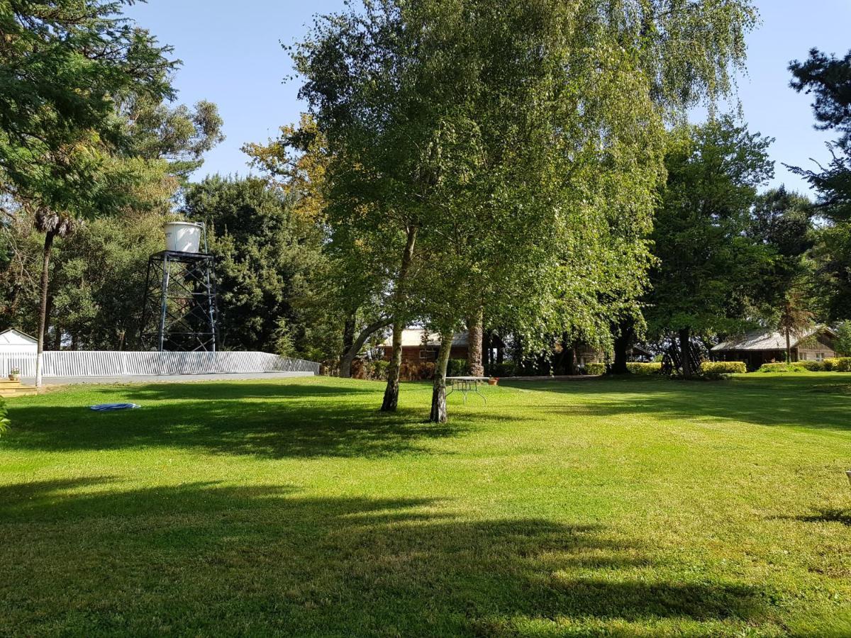 Lodge Mirador Chillán Zewnętrze zdjęcie