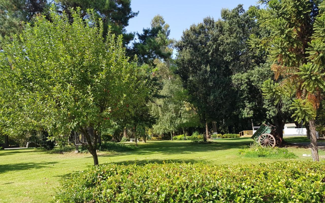 Lodge Mirador Chillán Zewnętrze zdjęcie