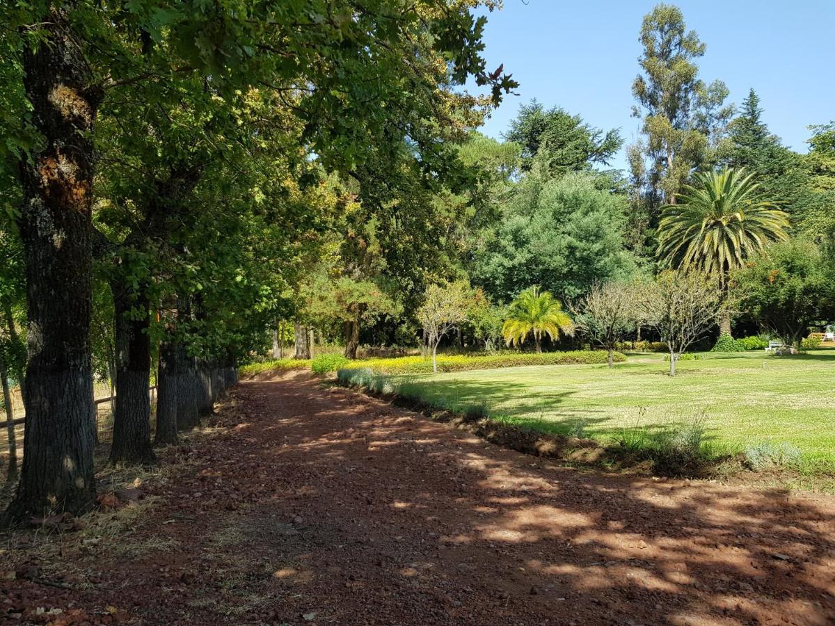 Lodge Mirador Chillán Zewnętrze zdjęcie
