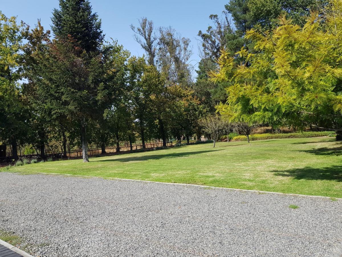 Lodge Mirador Chillán Zewnętrze zdjęcie