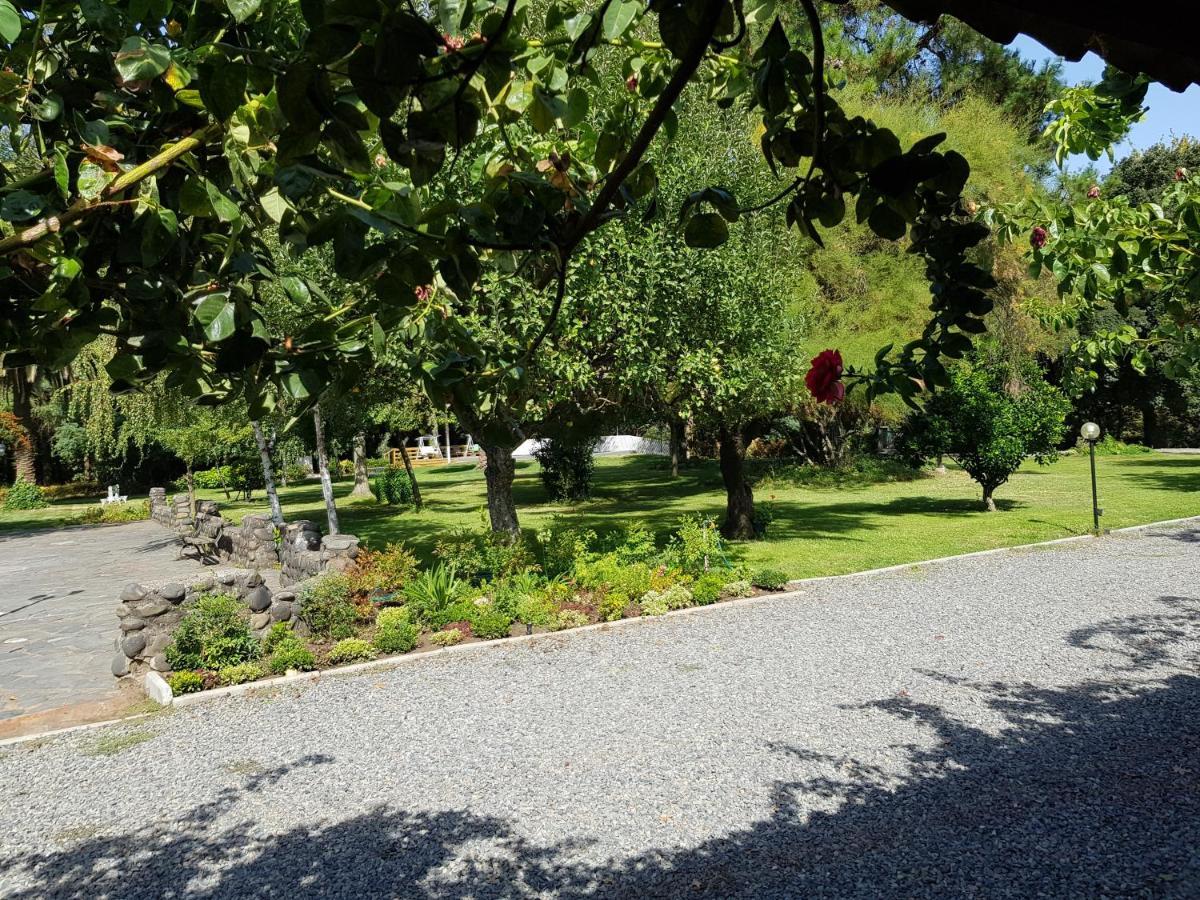 Lodge Mirador Chillán Zewnętrze zdjęcie