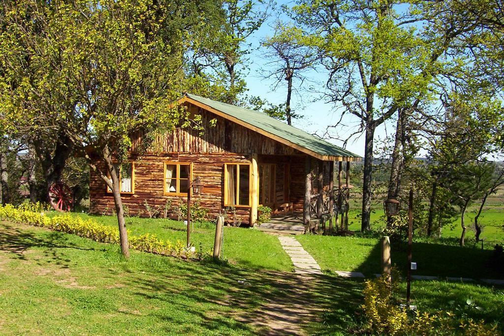 Lodge Mirador Chillán Zewnętrze zdjęcie