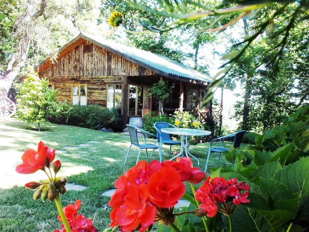 Lodge Mirador Chillán Zewnętrze zdjęcie